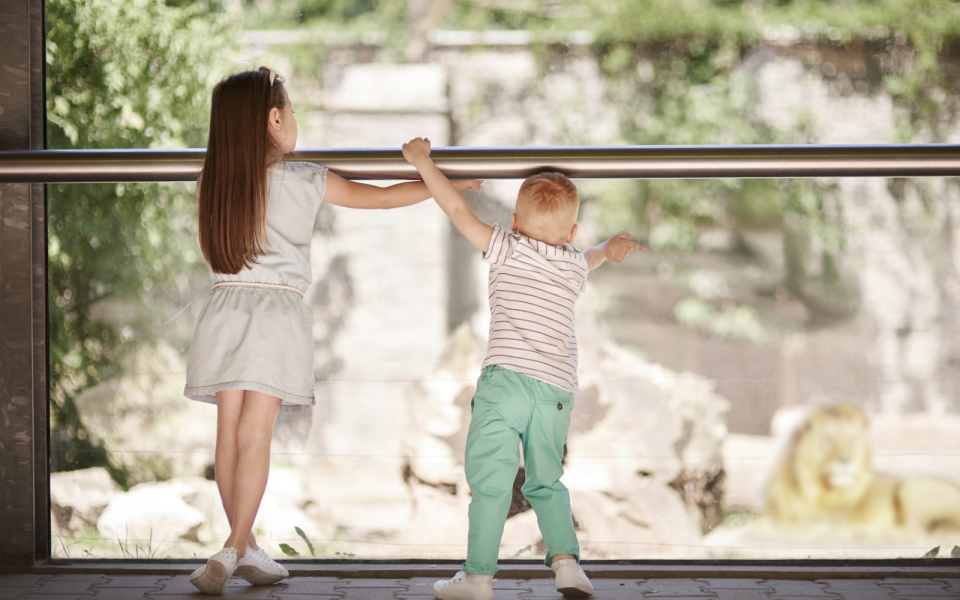 7 astuces pour augmenter sa visibilité sur la toile
